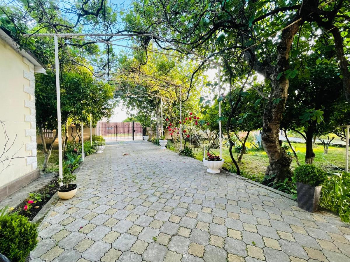 Hotel Askar Alakhadzi 外观 照片