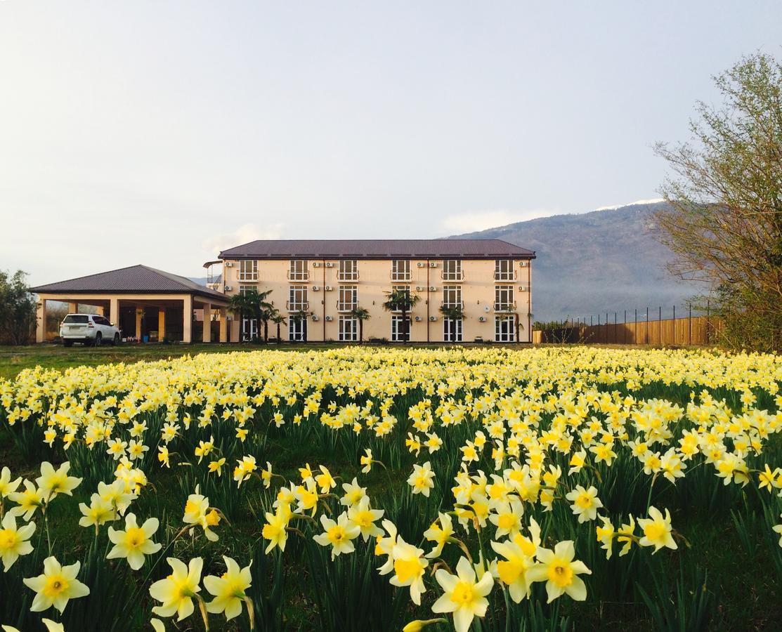 Hotel Askar Alakhadzi 外观 照片